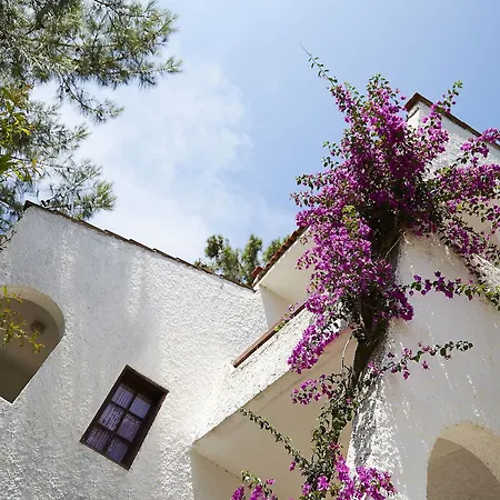 Isla Panorama 马尔马里斯